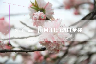 梨树县11月9日消防日全称