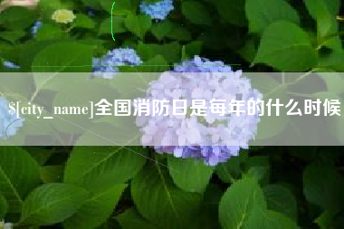 梨树县全国消防日是每年的什么时候