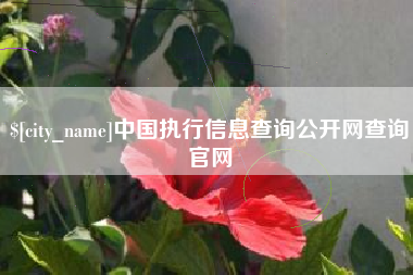 梨树县中国执行信息查询公开网查询官网