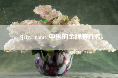 梨树县中国的金牌有几名