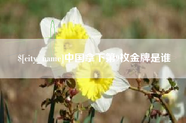 梨树县中国拿下第9枚金牌是谁