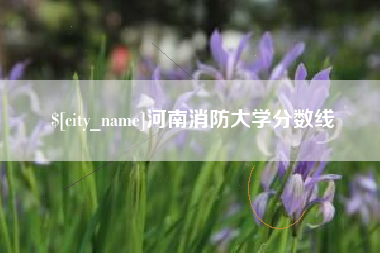梨树县河南消防大学分数线