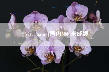 梨树县国内5000米成绩
