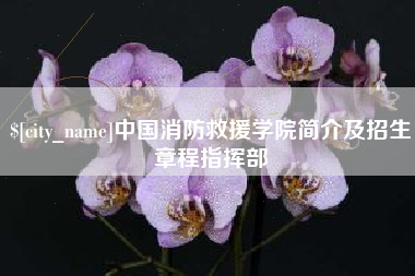梨树县中国消防救援学院简介及招生章程指挥部