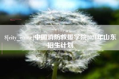 梨树县中国消防救援学院2021年山东招生计划