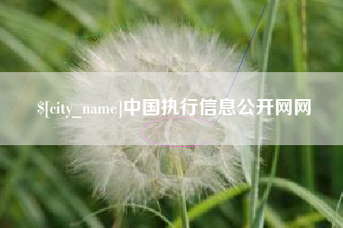 梨树县中国执行信息公开网网