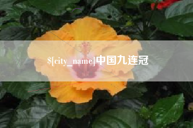 梨树县中国九连冠
