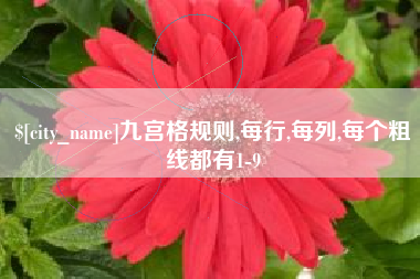 梨树县九宫格规则,每行,每列,每个粗线都有1-9