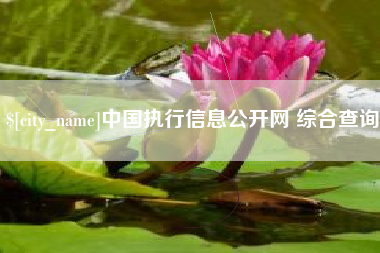 梨树县中国执行信息公开网 综合查询