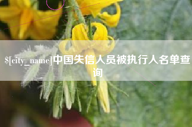 梨树县中国失信人员被执行人名单查询