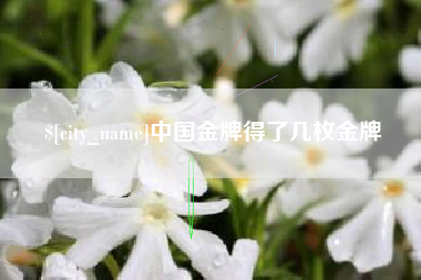 梨树县中国金牌得了几枚金牌