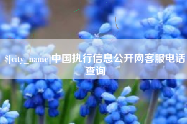 梨树县中国执行信息公开网客服电话查询