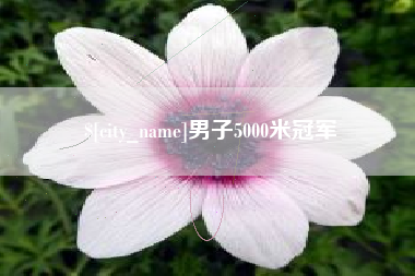 梨树县男子5000米冠军