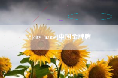 梨树县中国金牌牌