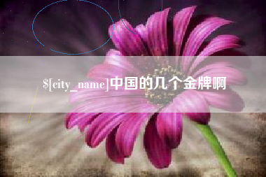 梨树县中国的几个金牌啊