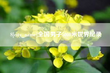 梨树县全国男子5000米世界纪录