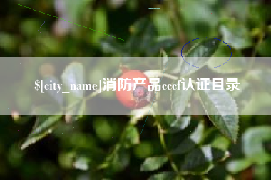 梨树县消防产品cccf认证目录