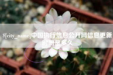 梨树县中国执行信息公开网信息更新时间是多久