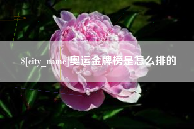 梨树县奥运金牌榜是怎么排的