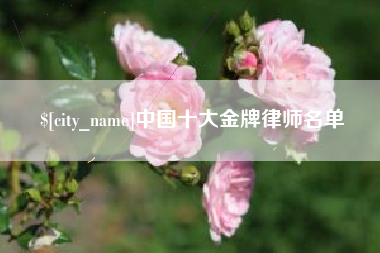 梨树县中国十大金牌律师名单
