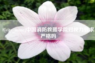 梨树县中国消防救援学院对视力要求严格吗