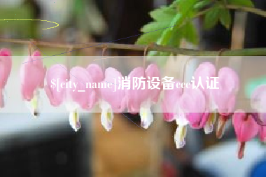 梨树县消防设备ccc认证