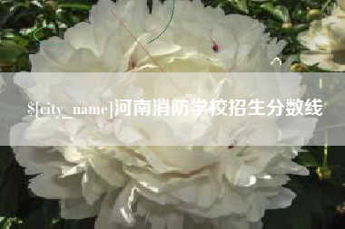 梨树县河南消防学校招生分数线