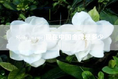 梨树县现在中国金牌是多少