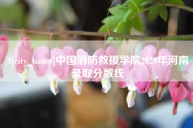 梨树县中国消防救援学院2020年河南录取分数线