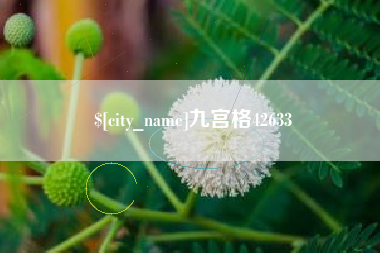 梨树县九宫格42633