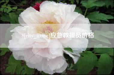 梨树县应急救援员价格