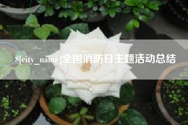 梨树县全国消防日主题活动总结