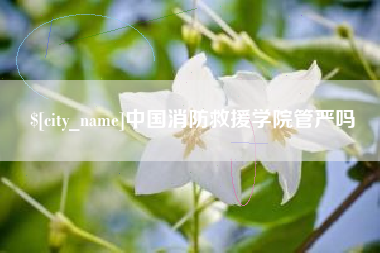 梨树县中国消防救援学院管严吗