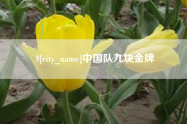 梨树县中国队九块金牌