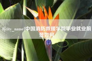 梨树县中国消防救援学院毕业就业前景如何