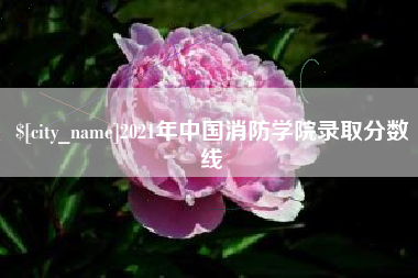 梨树县2021年中国消防学院录取分数线