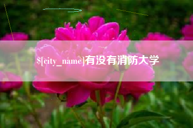 梨树县有没有消防大学