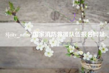 梨树县国家消防救援队伍报名网址