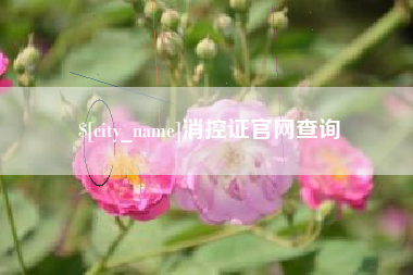 梨树县消控证官网查询