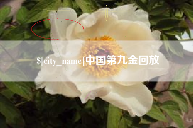 梨树县中国第九金回放