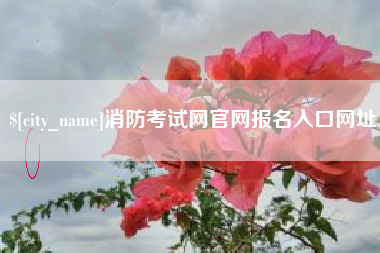 梨树县消防考试网官网报名入口网址