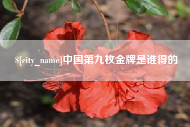 梨树县中国第九枚金牌是谁得的