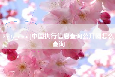 梨树县中国执行信息查询公开网怎么查询