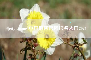 梨树县中国消防官网报名入口2024