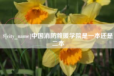 梨树县中国消防救援学院是一本还是二本