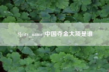 梨树县中国夺金大项是谁