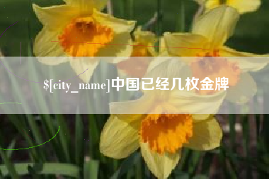 梨树县中国已经几枚金牌