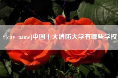 梨树县中国十大消防大学有哪些学校