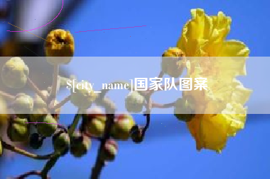 梨树县国家队图案