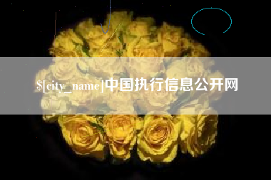 梨树县中国执行信息公开网